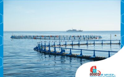 Generadores de oxígeno para el sector de la acuicultura